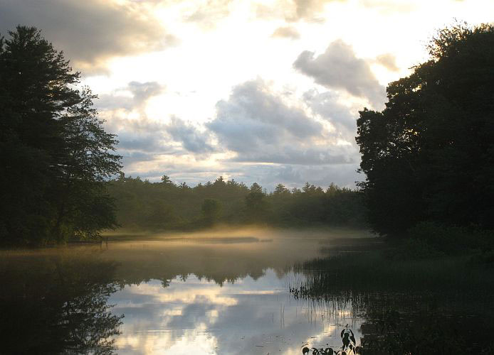 wood-pawcatuck-mist.jpg