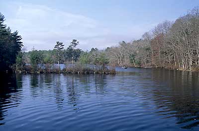 Reynolds Pond