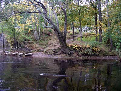 The Path to the River at Titicut Street