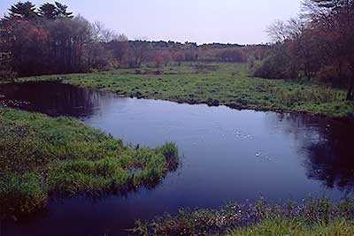 View Downriver from the Vaughn Street Bridge