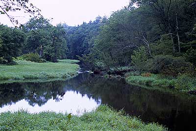 View Downriver from the Murdock Street Bridge