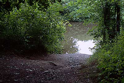 The Path to the River at Summer Street