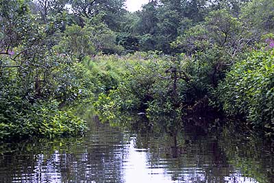 View Downriver below Scotland Street