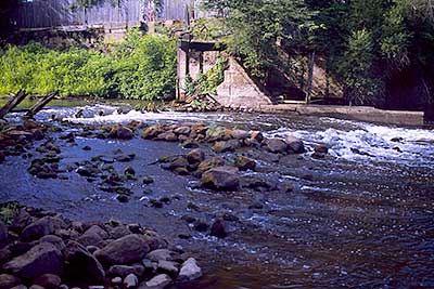 Reynolds Dam