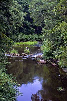 View Downriver from the Hayward Street Bridge