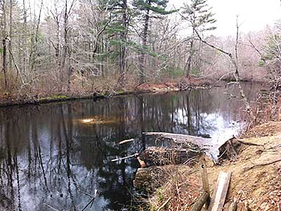 View Upstream from near the Canoe/Kayak Launch