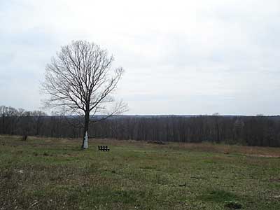 The Summit of Steere Hill on the Steere Hill Trail