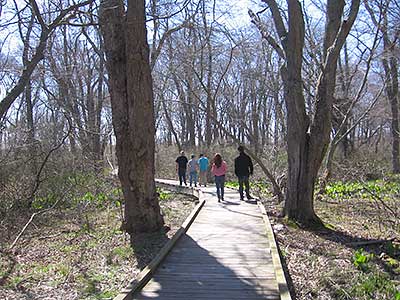Walkers on the Greenway in the Northern, Wooded Section