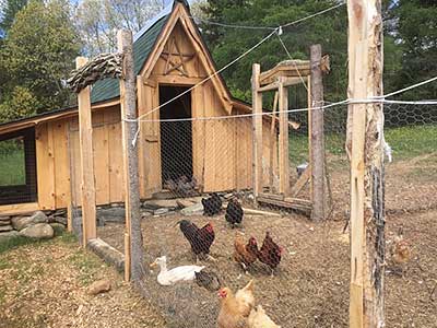 The Chicken Coop